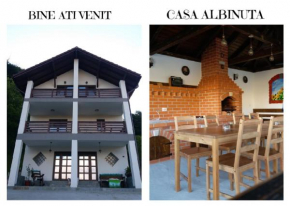 Casa Albinuța